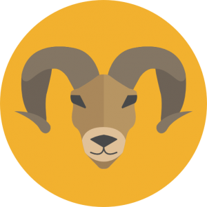 Aries PNG-52023